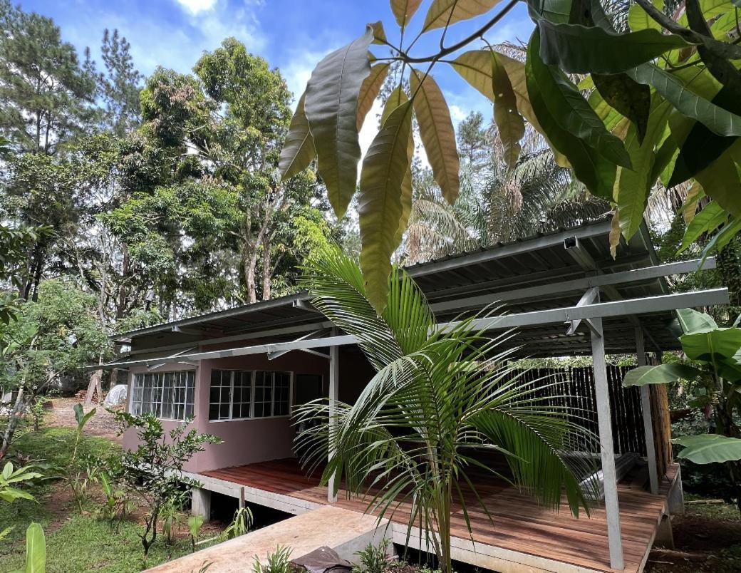 Monkey Lodge Panama Chilibre Exterior photo